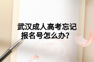 武汉成人高考忘记报名号怎么办?