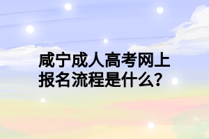咸宁成人高考网上报名流程是什么?