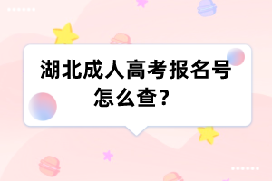 湖北成人高考报名号怎么查?
