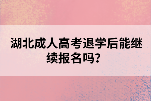 湖北成人高考退学后能继续报名吗?
