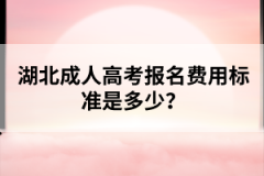 湖北成人高考报名费用标准是多少？