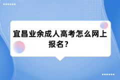 宜昌业余成人高考怎么网上报名？