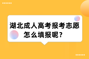 湖北成人高考报考志愿怎么填报呢?