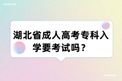 湖北省成人高考专科入学要考试吗？