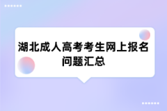 湖北成人高考考生网上报名问题汇总